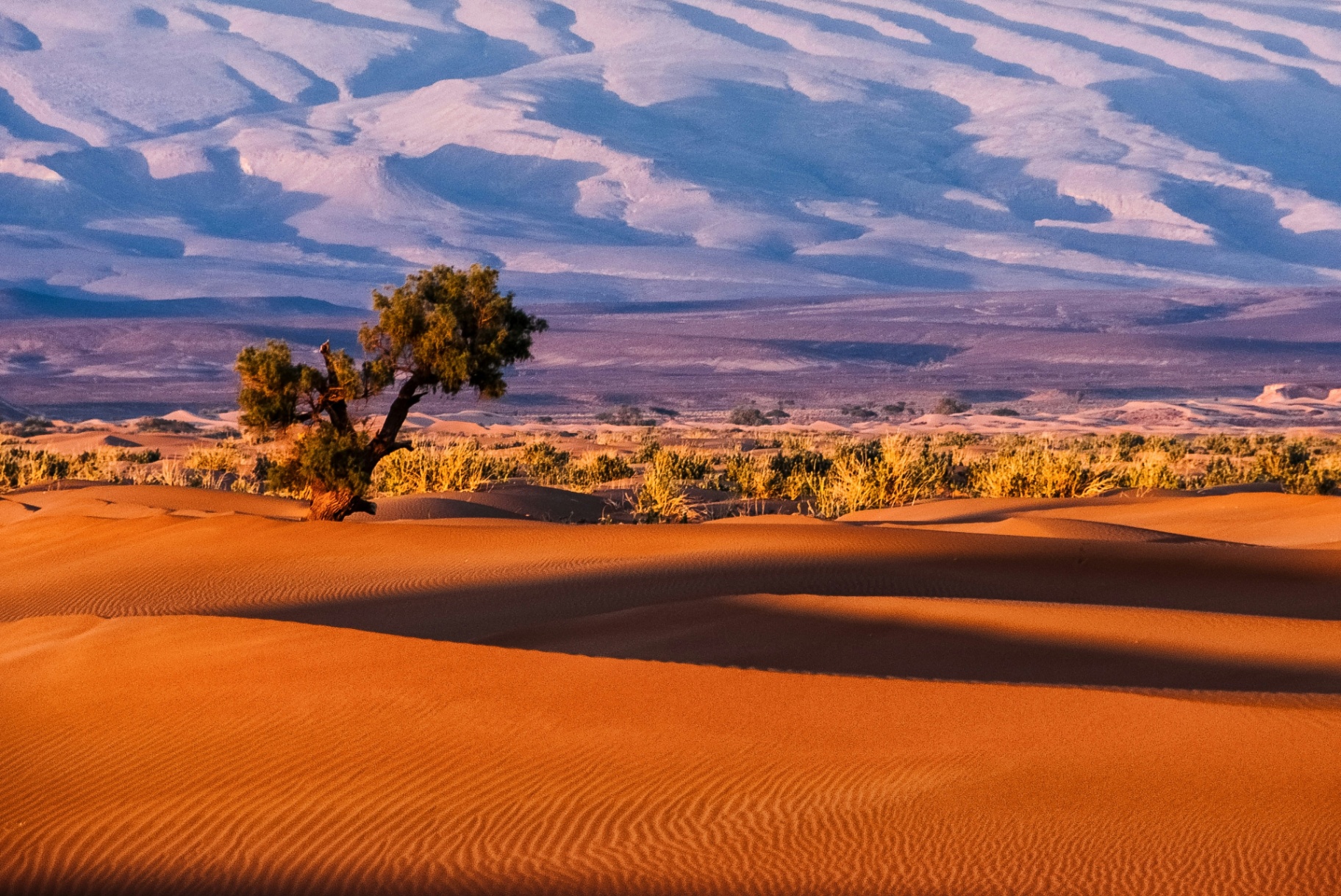 Morocco Tradition Tours — Authentic Sahara & Cultural Experiences